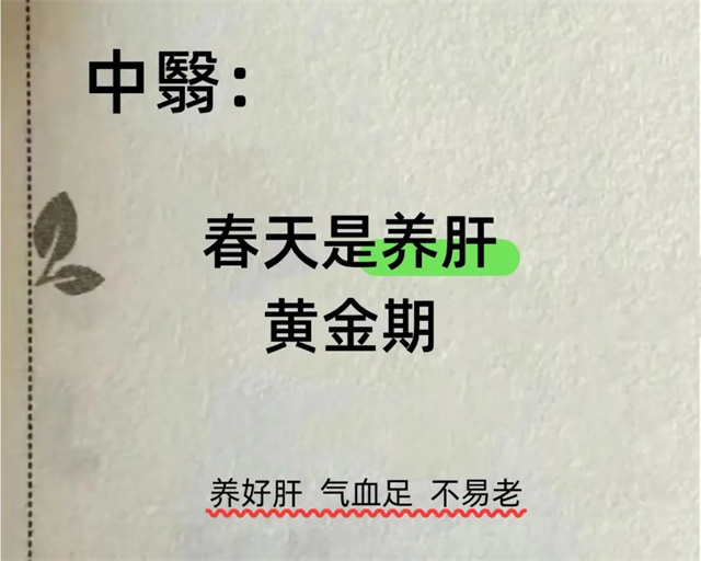 wx_fmt=jpeg&from=appmsg&tp=webp&wxfrom=5&wx_lazy=1&wx_co=1.jpg